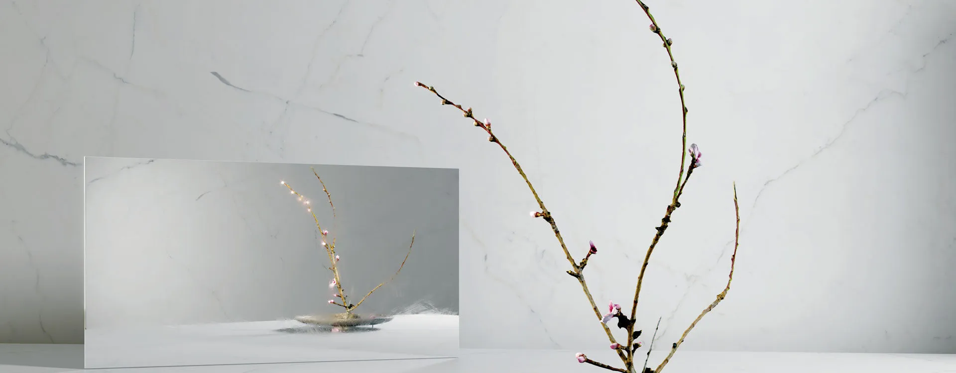 Caesarstone Porcelain surface with branches and mirror